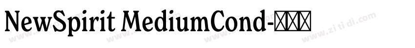 NewSpirit MediumCond字体转换
